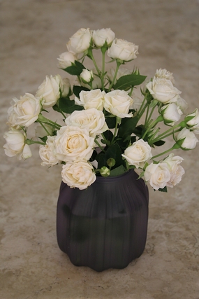 白色玫瑰花静物插花摄影图片